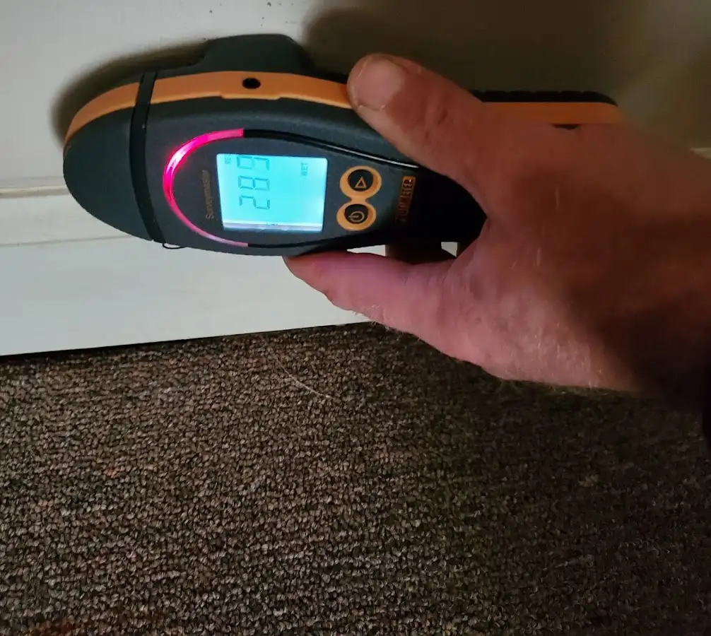Moisture detection at baseboard during Mold Inspection & Testing in Schuyler